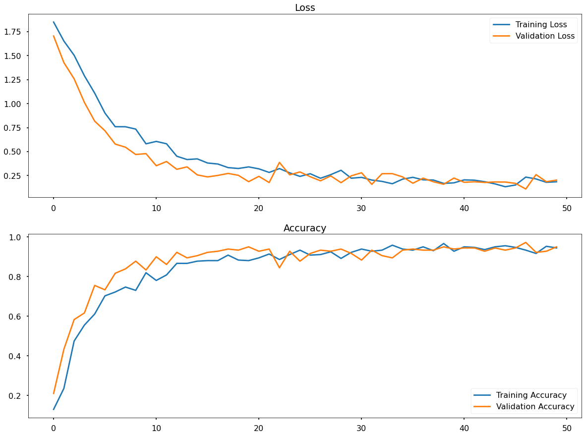 Fruit Classification Using A Convolutional Neural Network