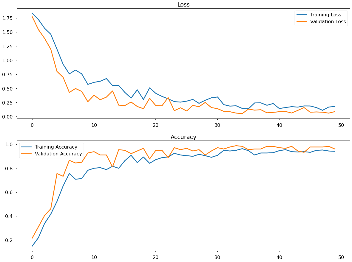 Fruit Classification Using A Convolutional Neural Network